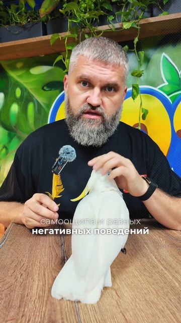 Попугай не создан для тишины.