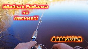 Клёвая Весенняя Рыбалка 2026. Рыба клюёт одна за одной!!!