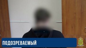 Раскрыт взлом аккаунтов жителей Пензенской области на маркетплейсах с оформлением на них рассрочек