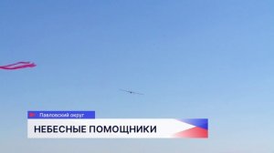 Нижегородская область поделилась опытом использования агродронов с представителями из Анголы