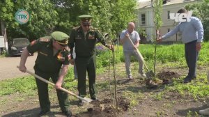 Аллею памяти высадили во дворе дома 8 на улице Коммунистическая