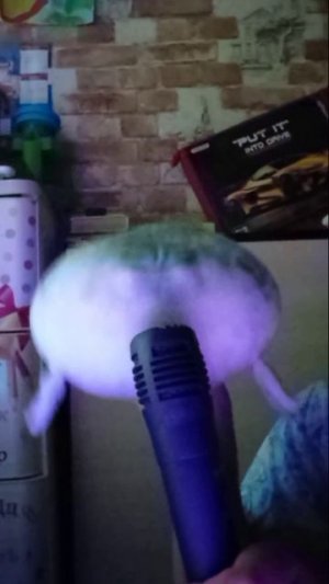 выступление Виталика