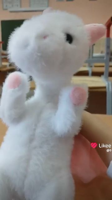 1000027421.mp4 смотреть онлайн