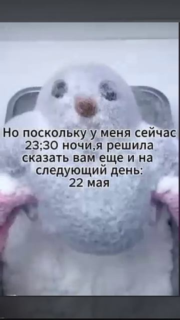 21 и 22 мая - какие праздники стоит отмечать в эти дни?
