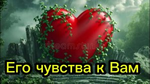 ТАРО ОТНОШЕНИЯ ❤️❤️❤️ Чувства мужчины к Вам ❤️❤️❤️