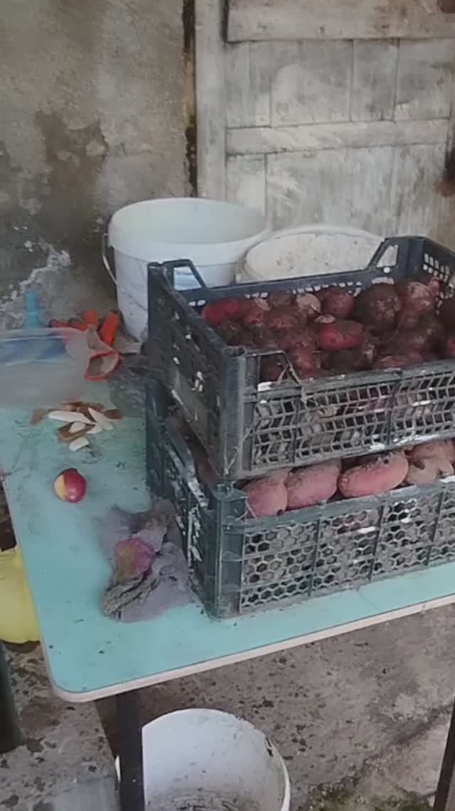 Натуральная молодая картошка)