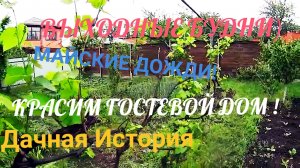 ДАЧНАЯ ИСТОРИЯ! КРАСИМ ГОСТЕВОЙ ДОМ 🏡! ДОЖДИ ! ВЫХОДНЫЕ БУДНИ!