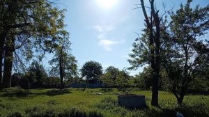 Наконец-то  солнечно☀. Картошка с курицей в духовке 🍗🍗🍗.