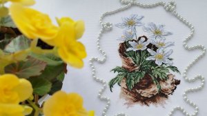 МПстудия, арт НВ-567, Ветреницы,от начала до последнего крестика 🤗