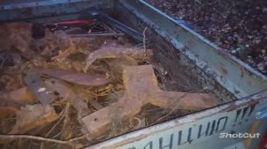 Последние деньки копа_Накопали всего 300 кг Металла #копметаллавлесу  #металлокоп
