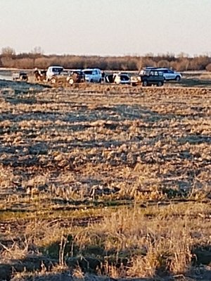 гуляю заходи быстрее