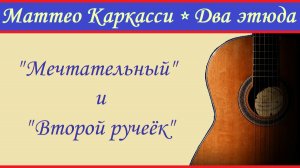 Два этюда Маттео Каркасси. Опус 60, №3; опус 60, № 19.