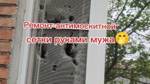 Ремонт антимоскитной сетки своими руками