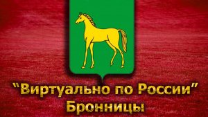 Виртуально по России. 132. город Бронницы