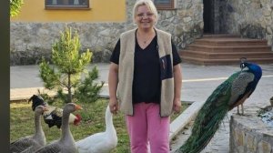 Курбанова  - Пришли купить диваны. Сын выслал отчёт.