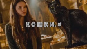 Кошки. #