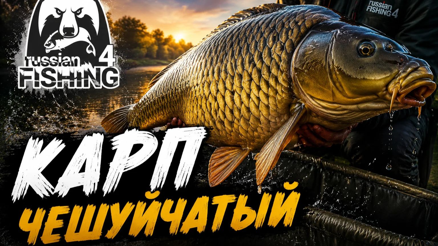 [Фидер] Точка на "Карп чешуйчатый" , Оз. Медвежье [RF-4] смотреть онлайн