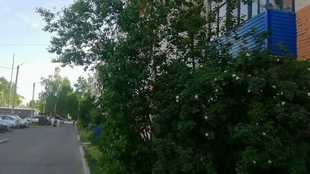 Вдохновение приходит