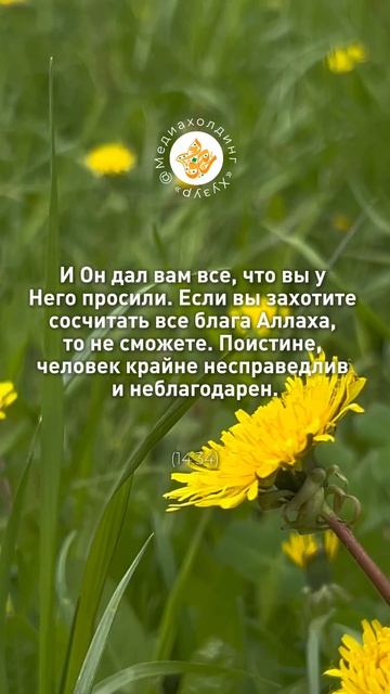 Мы замечаем не всё, что нам даровано ✨ смотреть онлайн