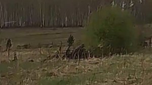 Классный день!
