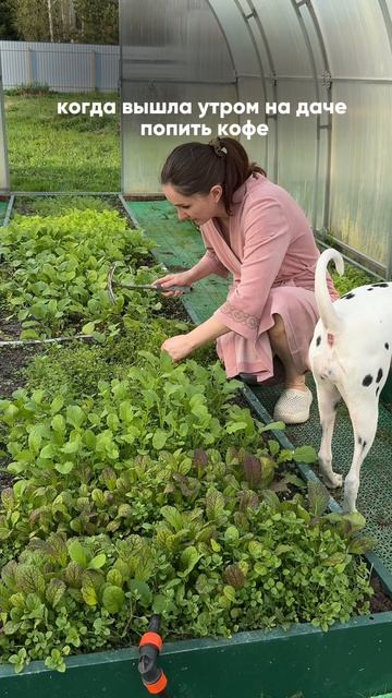 Вышла утром на даче просто попить кофе и послушать пение птиц ☕🌿 смотреть онлайн