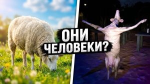 ПОЧЕМУ ОНИ СЕБЯ ТАК СТРАННО ВЕДУТ?