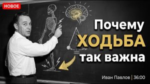 Почему скорость вашей ХОДЬБЫ предсказывает сколько вы проживёте — точнее любого анализа (Sari Jakpo)