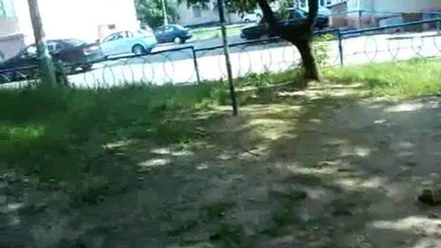 Тотально-слепая женщина обходит искусственные препятствия по принципу летучей мыши.