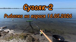 Сугояк-2 Рыбалка на карася 16.05.2026