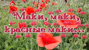 Маки, маки, красные маки...