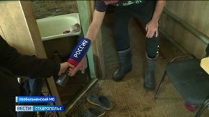 Последствия подтоплений устраняют в Изобильненском округе Ставрополья