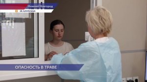 Свыше 1,5 тысячи человек в Нижегородской области обратились с жалобами на укусы клещей