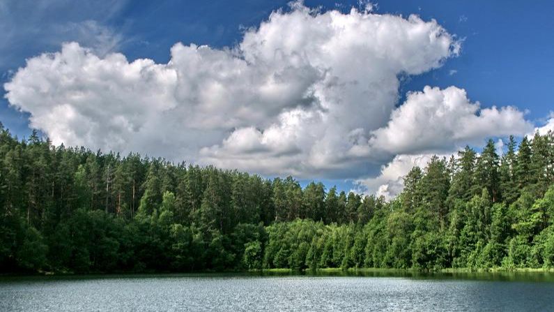 Ивушки  над рекой.-Автор  песни,мастеринг-Людмила Бурачевская..