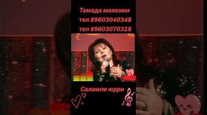 Салампи юрри