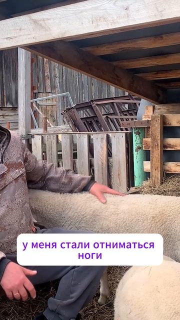 ОТКАЗАЛИ НОГИ В КАБИНЕ...