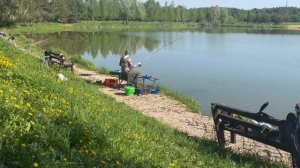 ещё один карпик в подсаке