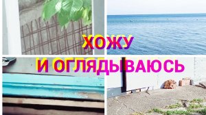ТРИ ВСТРЕЧИ С ОДНОЙ И ТОЙ ЖЕ ЗМЕЁЙ 🐍🐍🐍