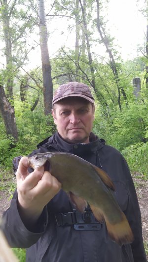 Пришёл ловить линя.
