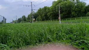 Сборник поездов