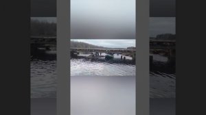 Шегра 12.04.2026.mp4