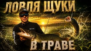Крупный минноу на мелководье: как ловить щуку в траве | Алексей Шанин