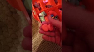 1000017896.mp4