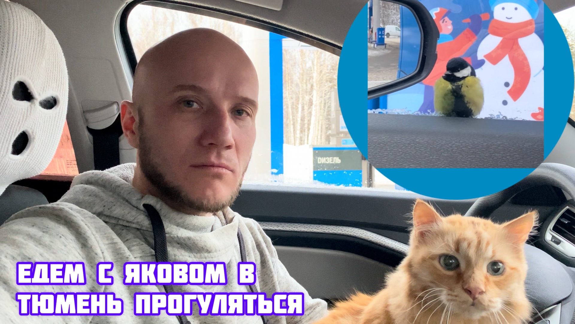 ЯшКот путешествует впервые