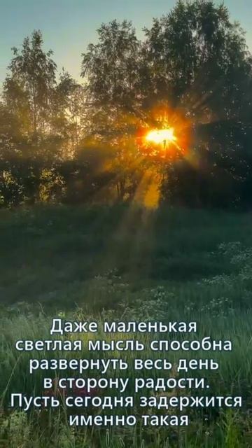 Светлая мысль смотреть онлайн