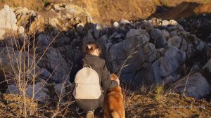 Спокойные выходные за городом | Прогулка и природа | Жизнь с сиба-ину