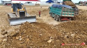 Amazing Bulldozer Clearing Deep Mud with Dump Trucks Filling Land Fast!