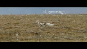Заповедная Россия - Мы всегда рядом - ваш Permsputnik