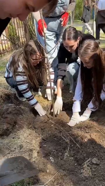Ученики Барнаульской классической школы заложили яблоневый сад на Трассе здоровья