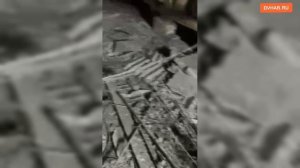 Из‑за трупов голубей с чердака черви полезли в квартиры хабаровчан