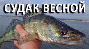 🔥 Как УГОВОРИТЬ весеннего СУДАКА? Битва за поклевку - на какой приманке судак сломался? 🔥